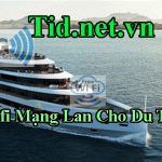 Lắp Wifi Mạng Lan Cho Du Thuyền