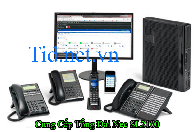 Lap Tong Dai Noi Bo Nec Sl2100