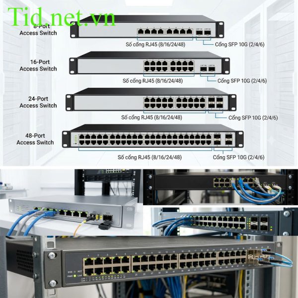 Thiết Bị Mạng Access Switch